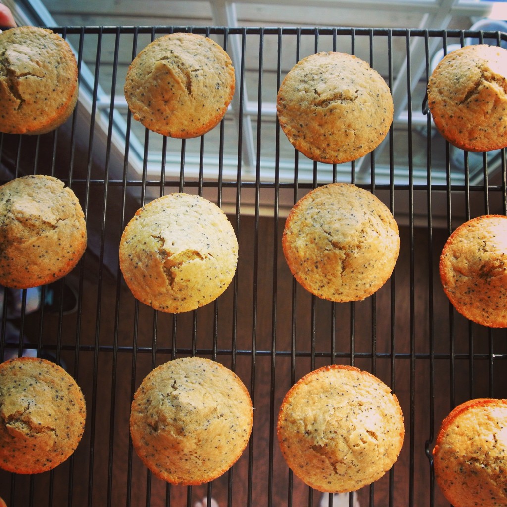 lemon-poppyseed-greek-yogurt-muffins-a-pinch-of-luv